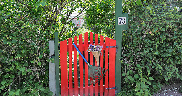 Siirtolapuutarhan palstassa on punainen portti, jossa roikkuu harava.