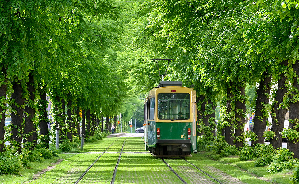 Mäkelänkatu, jonka varrella on paljon vihreitä puita ja ruohoa. Raitiovaunu kulkee puiden välissä.