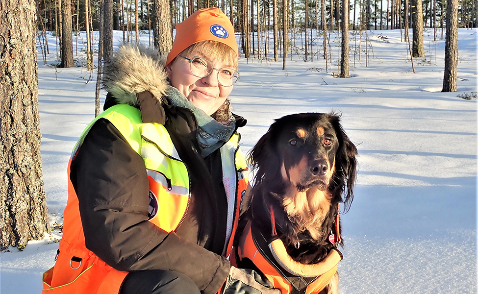 Oululainen koiranohjaaja Satu Vertainen kouluttaa Alinasta pelastuskoiran. Alina on rodultaan hovawart.