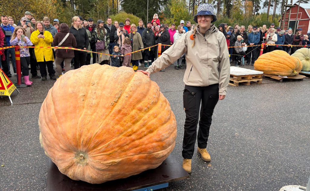 Krista Pennanen ja jättikurpitsa, jonka hän on kasvattanut omassa puutarhassaan. Kurpitsa painaa 573 kiloa.